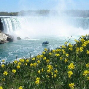 Niagara Falls